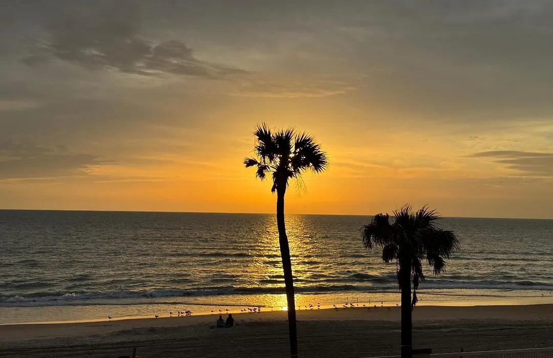 Direct Oceanfront, Fantastic Ocean View, Separate Bedroom ! - Pools Open !-1